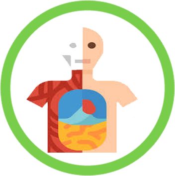 ANATOMIA
