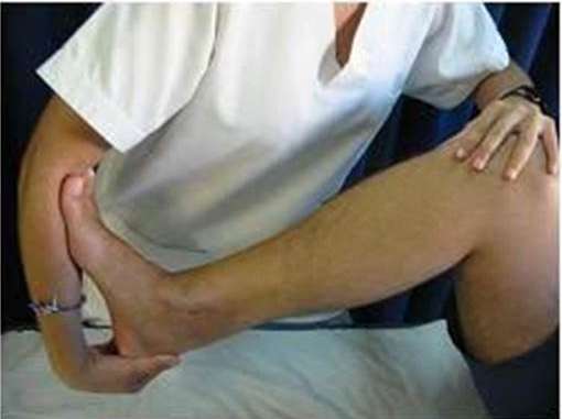Diapositiva17